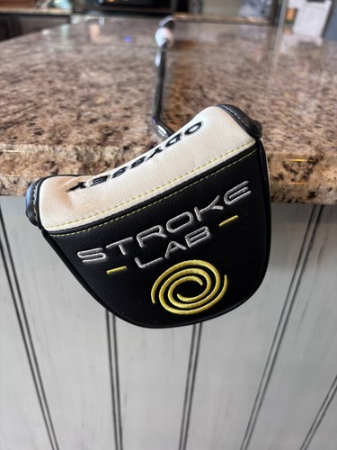 Odyssey stroke lab rossie - stroke,